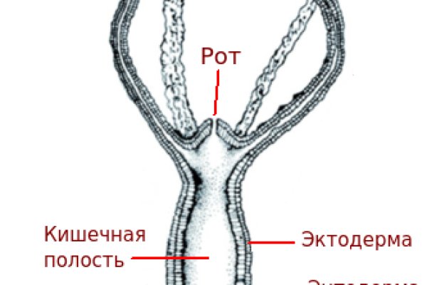 Kraken ссылка tor