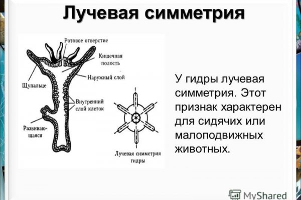 Кракен даркнет вход